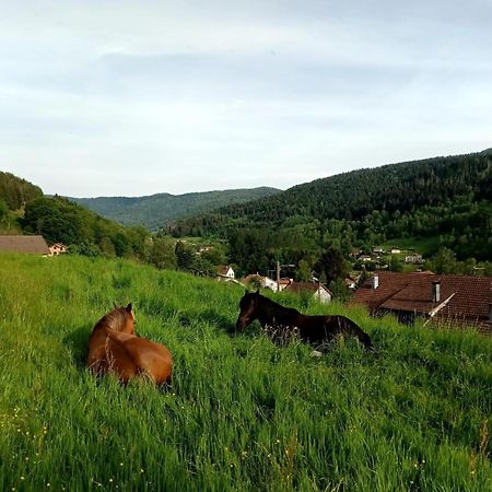 Gite De Famille Dans Les Vosges Saint-Maurice-sur-Moselle Buitenkant foto