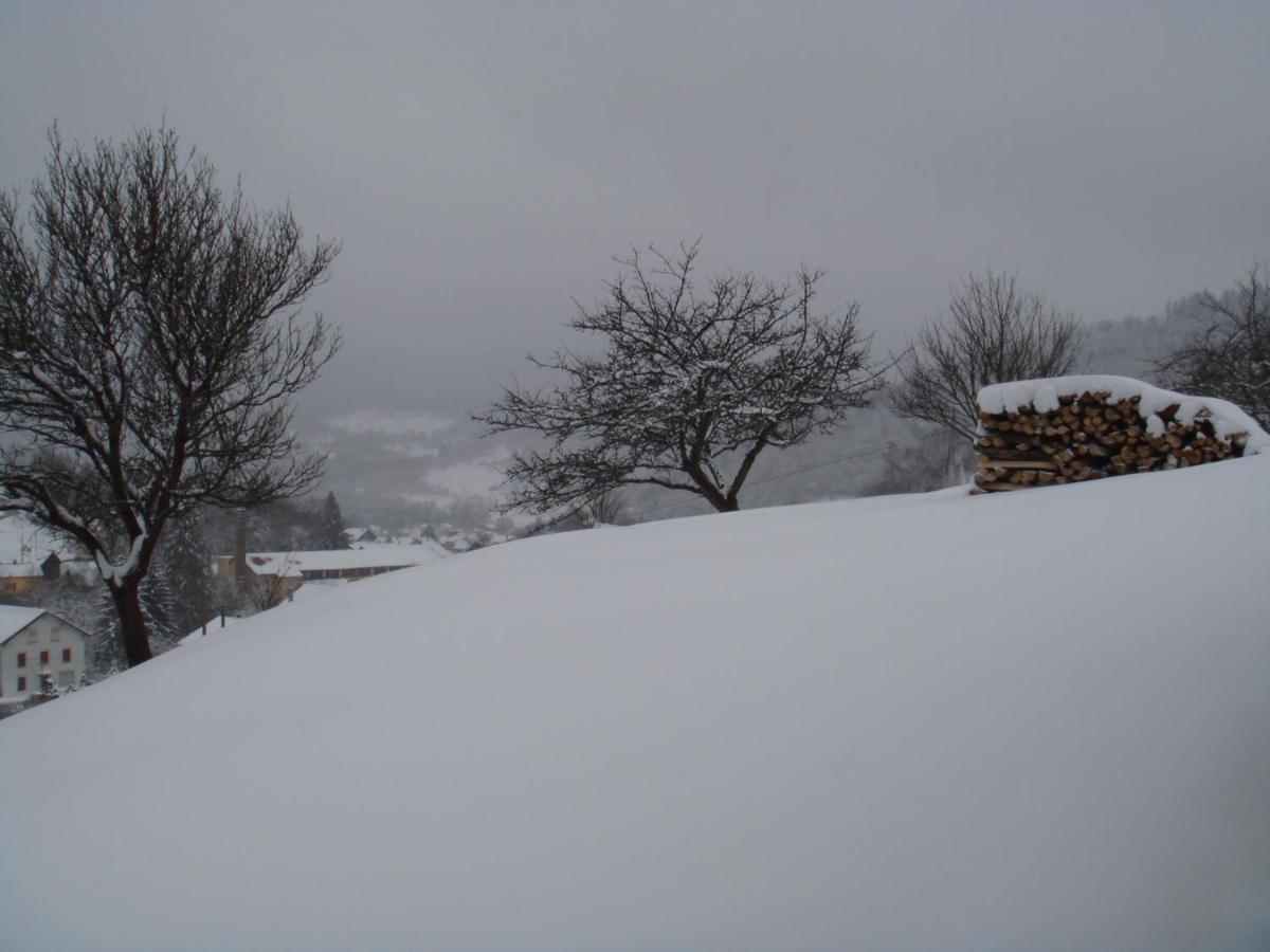 Gite De Famille Dans Les Vosges Saint-Maurice-sur-Moselle Buitenkant foto