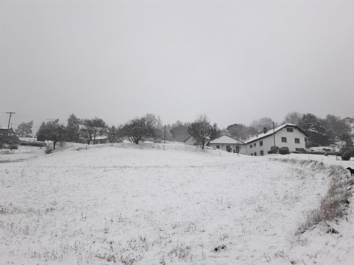 Gite De Famille Dans Les Vosges Saint-Maurice-sur-Moselle Buitenkant foto