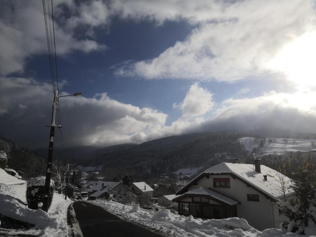Gite De Famille Dans Les Vosges Saint-Maurice-sur-Moselle Buitenkant foto