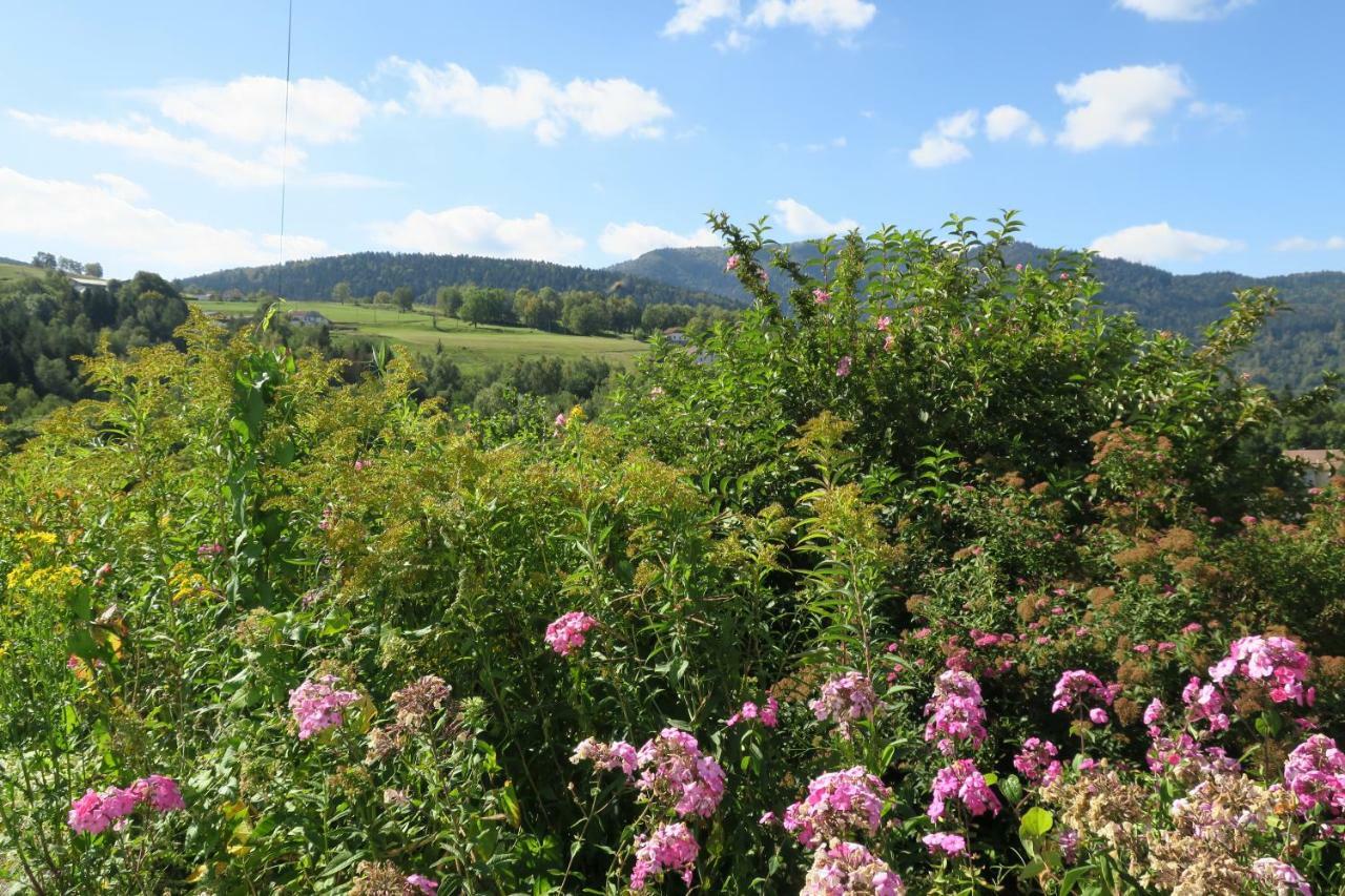Gite De Famille Dans Les Vosges Saint-Maurice-sur-Moselle Buitenkant foto